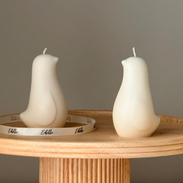 Bird Soy Candle — Bougie de Soja Oiseau