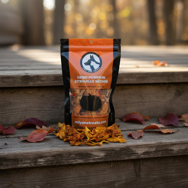 Dried Pumpkin Slices 100g — Tranches de Citrouille Séchées 100g
