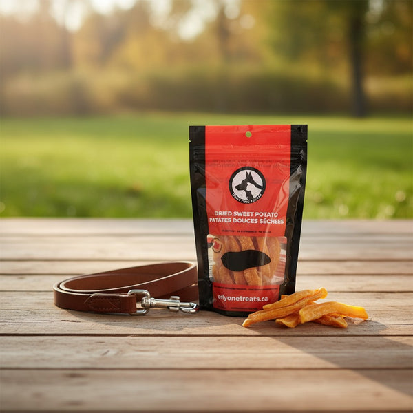 Dried Sweet Potato Slices 100g — Tranches de Patate Douce Séchées 100g