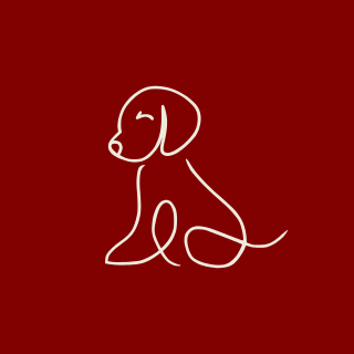Pet Supplies