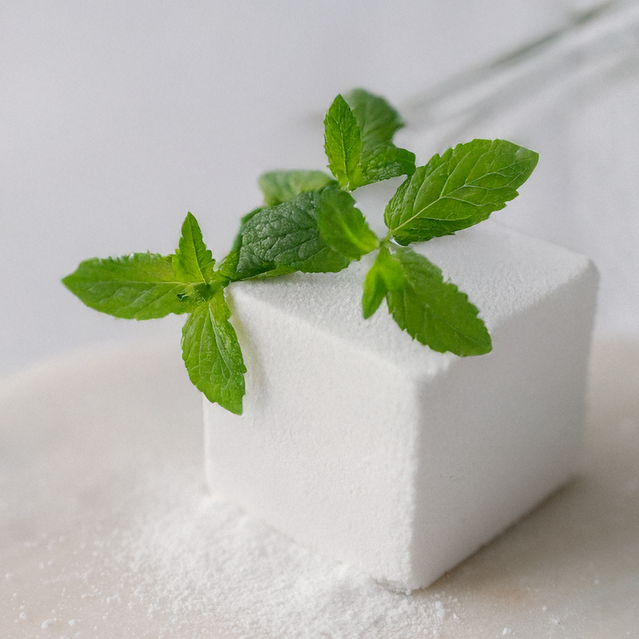 Canadian Mint Eucalyptus Bath Cube - Cube de Bain Menthe Eucalyptus Fait au Canada