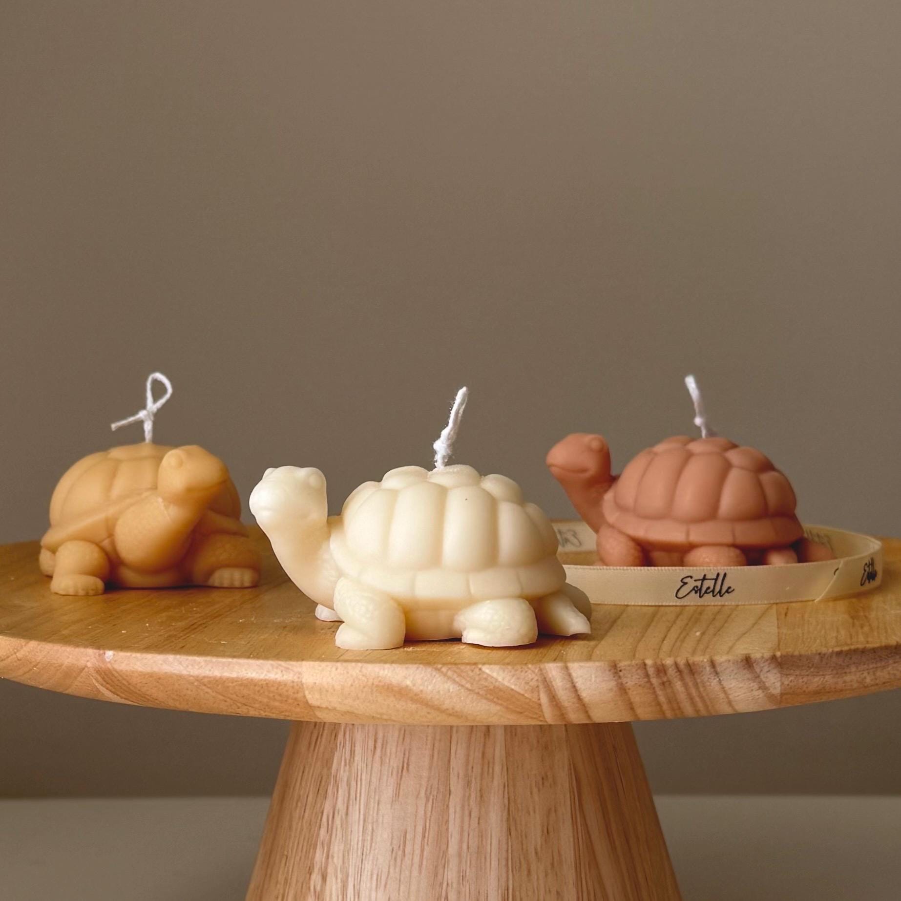 Turtle Soy Candle — Bougie de Soja Tortue