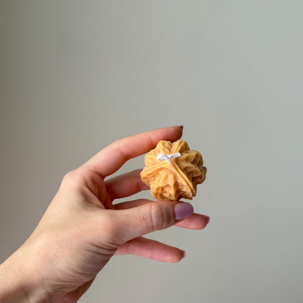 Walnut Shaped Soy Candle — Bougie de Soja Forme de Noix