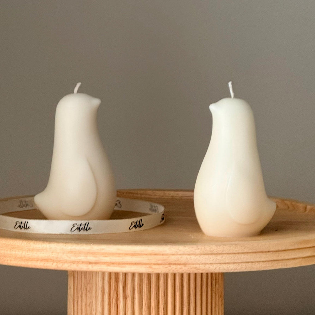 Bird Soy Candle — Bougie de Soja Oiseau