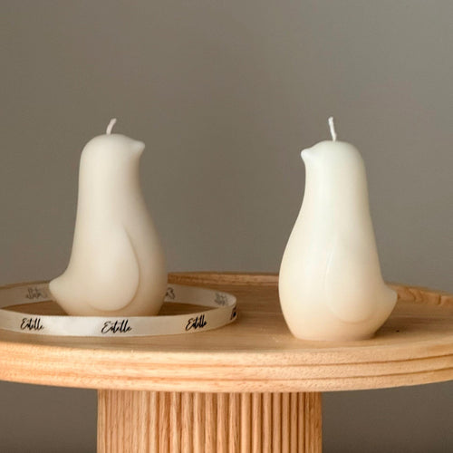 Bird Soy Candle — Bougie de Soja Oiseau