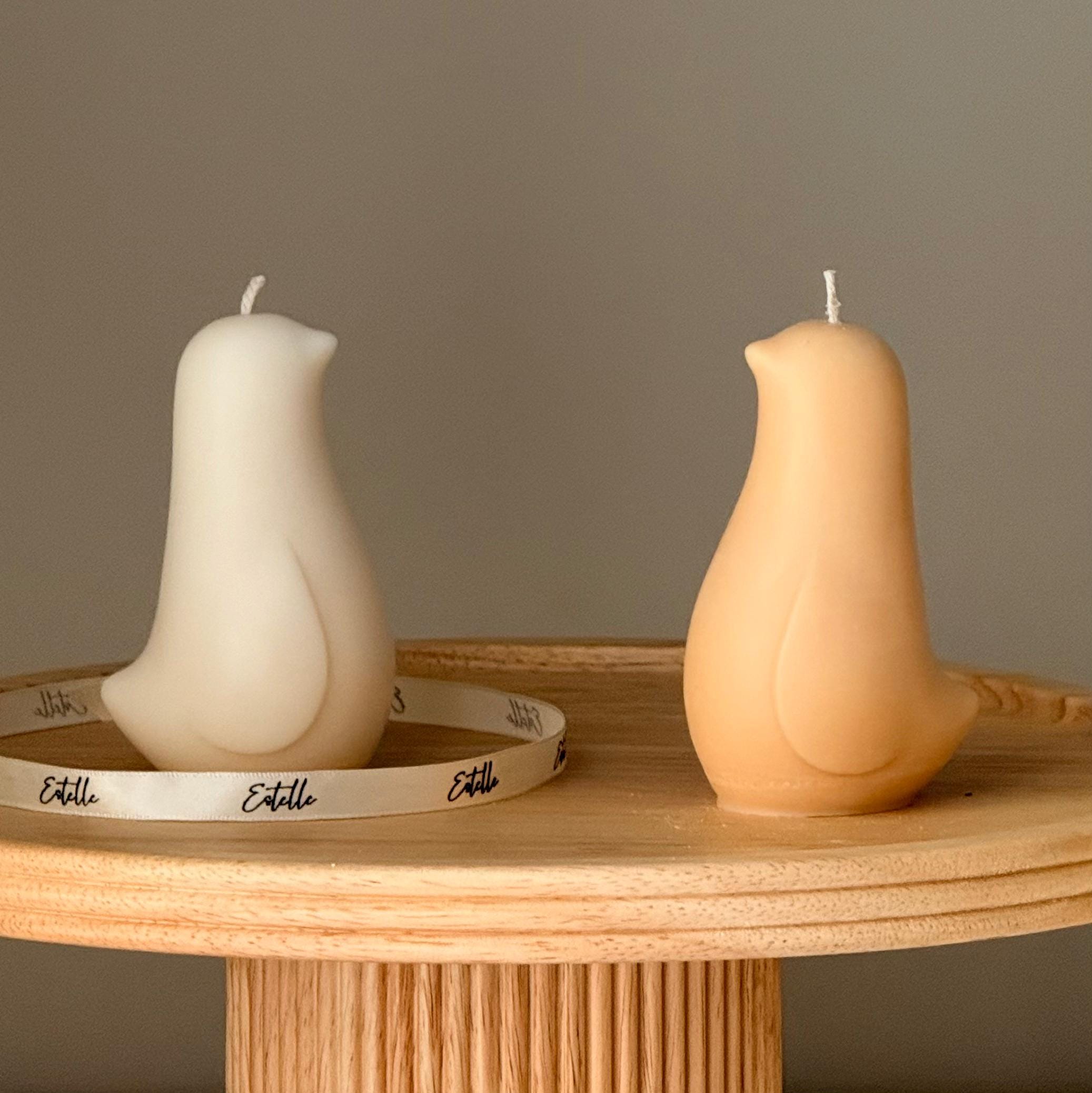 Bird Soy Candle — Bougie de Soja Oiseau