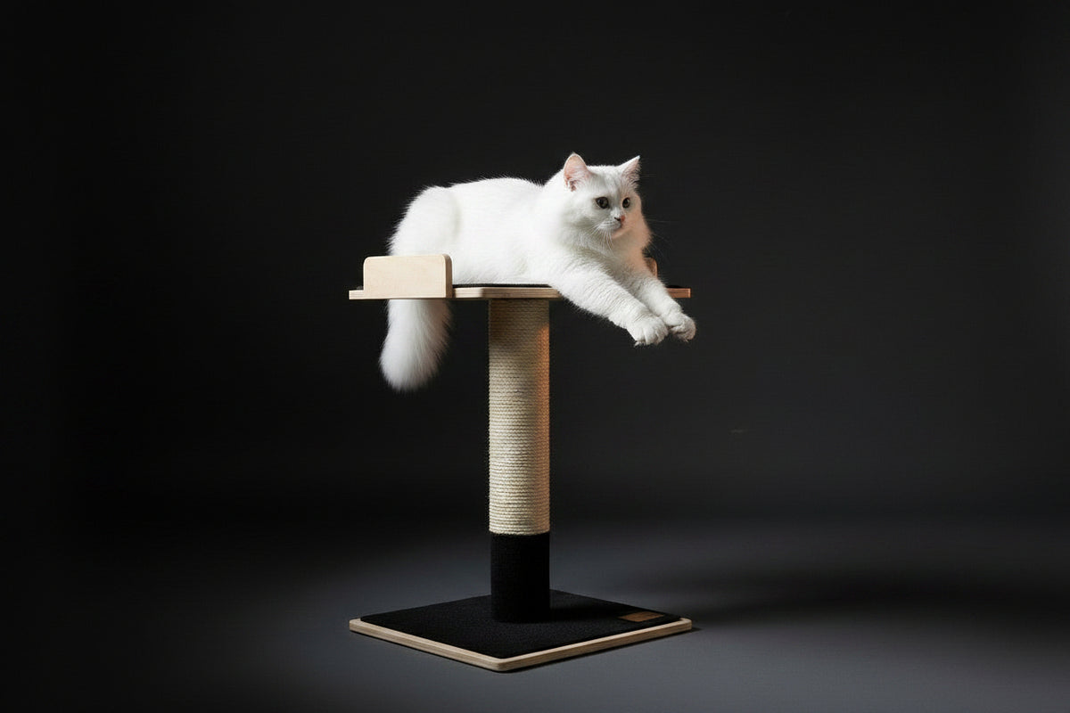 Pet Supplies