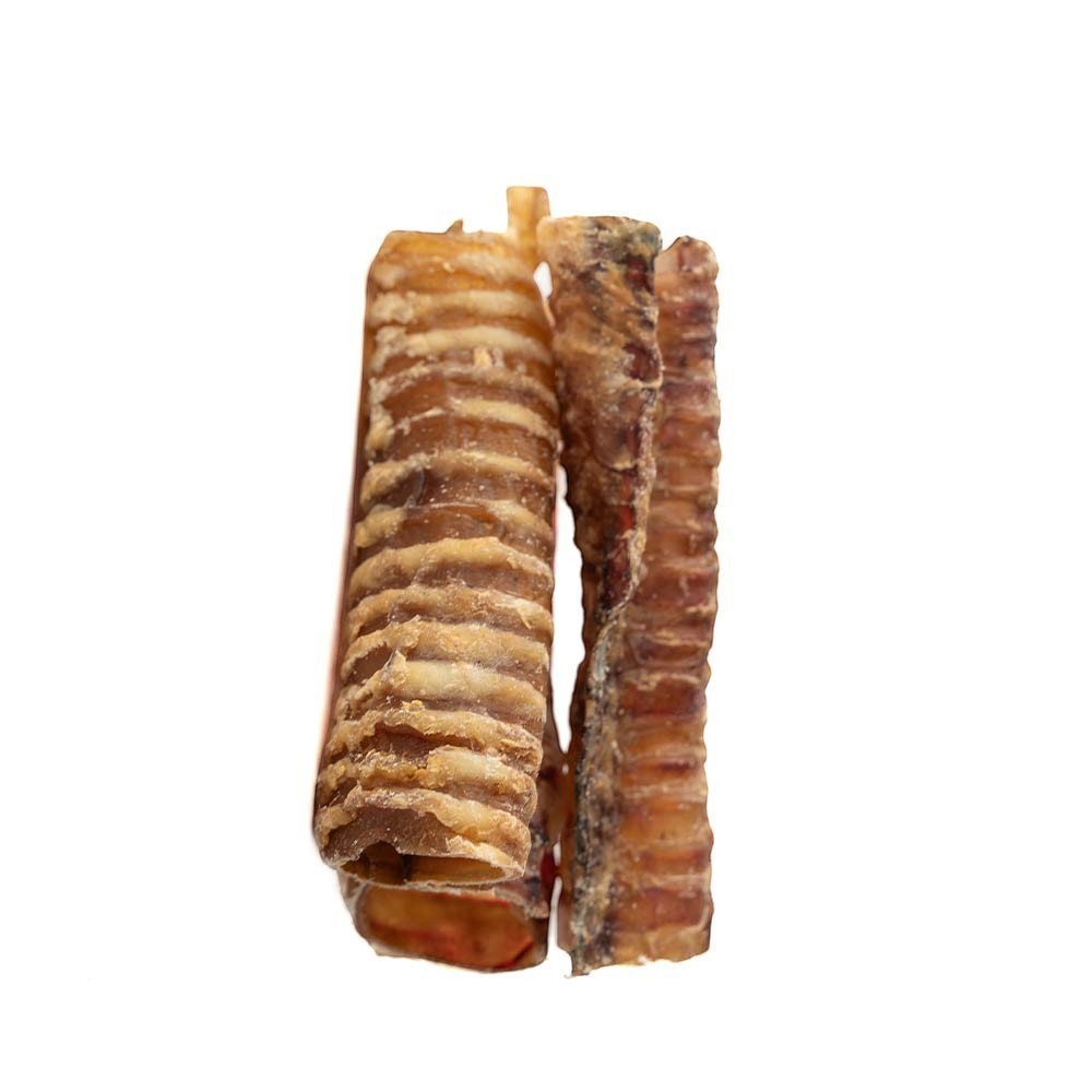 Oh Canada Gifts 6-inch natural air-dried beef trachea dog chew with a ridged cartilaginous texture