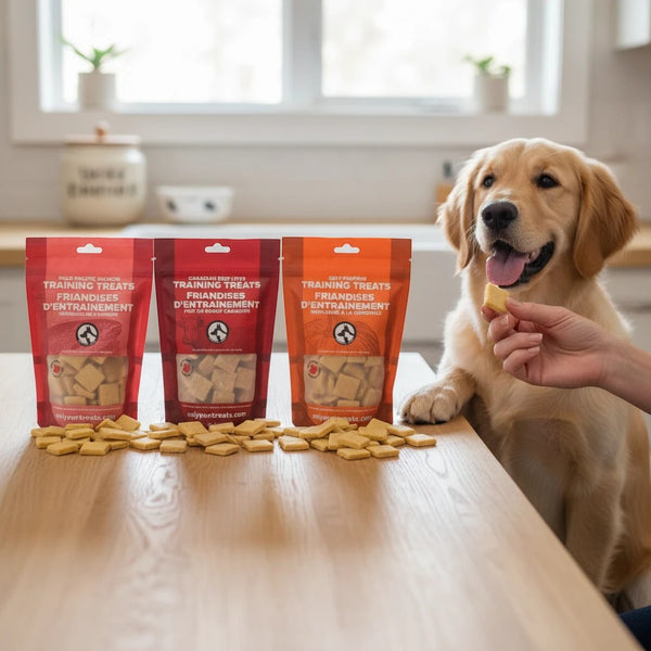 Oh Canada Gifts training treat box with three bags of Canadian-made dog treats and a golden retriever waiting for a snack