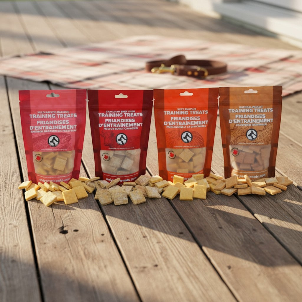 Oh Canada Gifts Training Treat Box featuring four bags of assorted Canadian-made soft dog treats on a wooden deck.