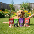 Oh Canada Gifts From Our Kitchen Box featuring four bags of Canadian-made dog treats with a Golden Retriever in a garden
