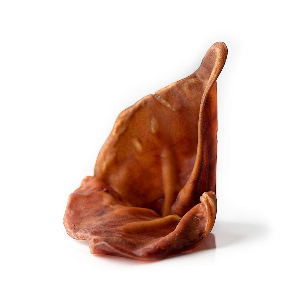 Oh Canada Gifts natural dried pork ear dog chew with a crunchy texture for dental health