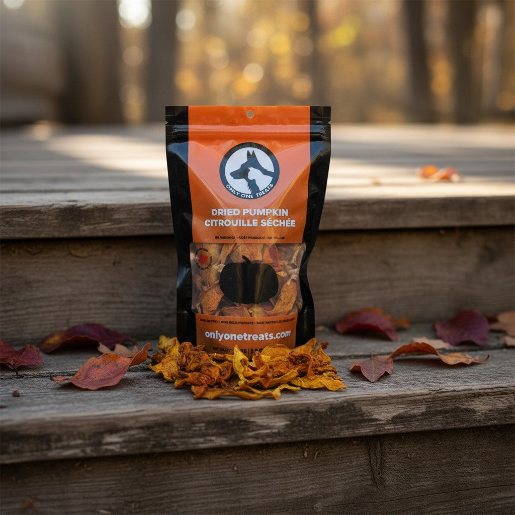 Oh Canada Gifts dried pumpkin slices in a black and orange pouch on wooden steps with autumn leaves