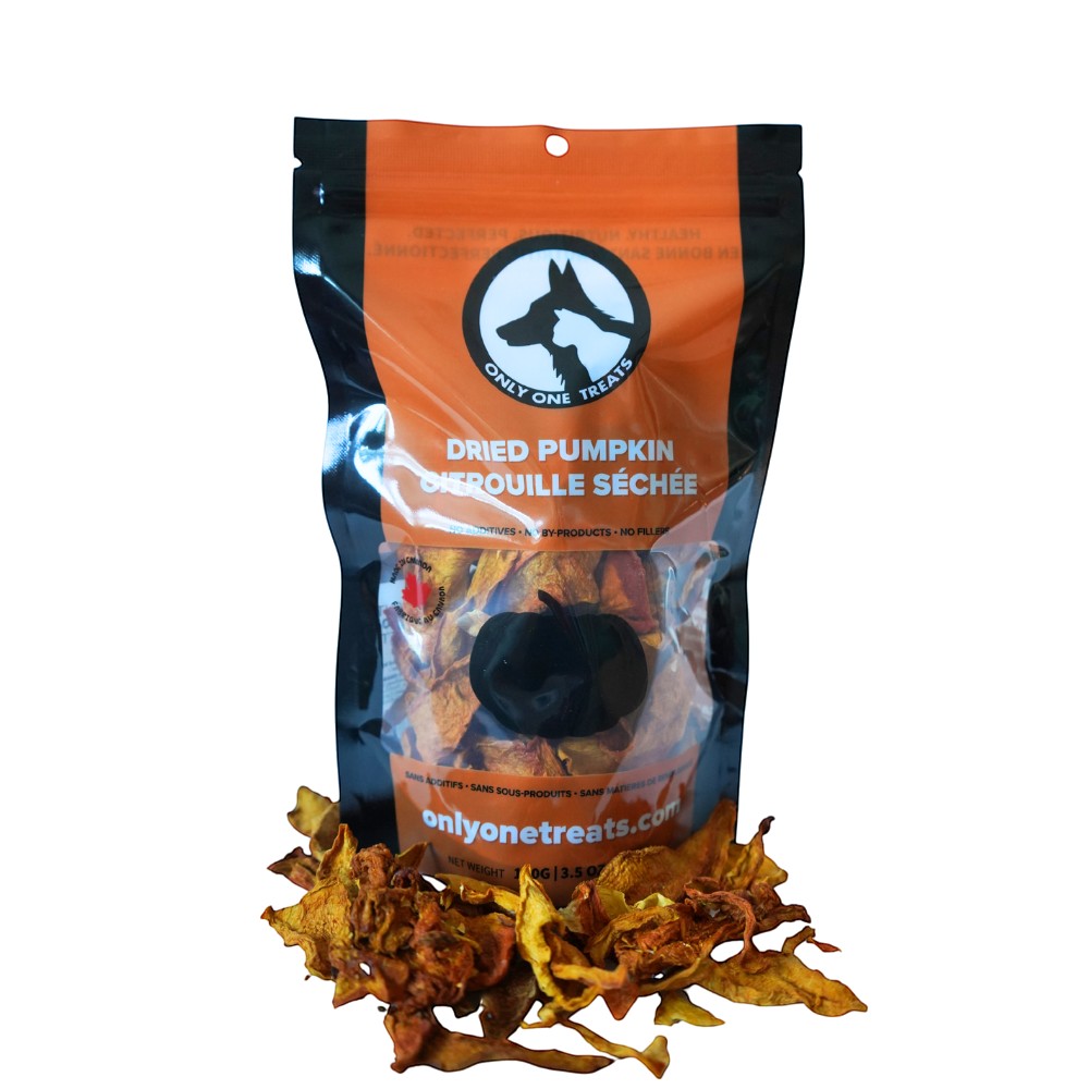 Oh Canada Gifts dried pumpkin slices in a 100g resealable bag, a crunchy grain-free pet treat made in Canada.