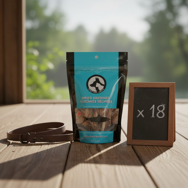 Oh Canada Gifts bulk case of 18 dried sardine pet treats in a blue and black pouch on a wooden deck with a leash.