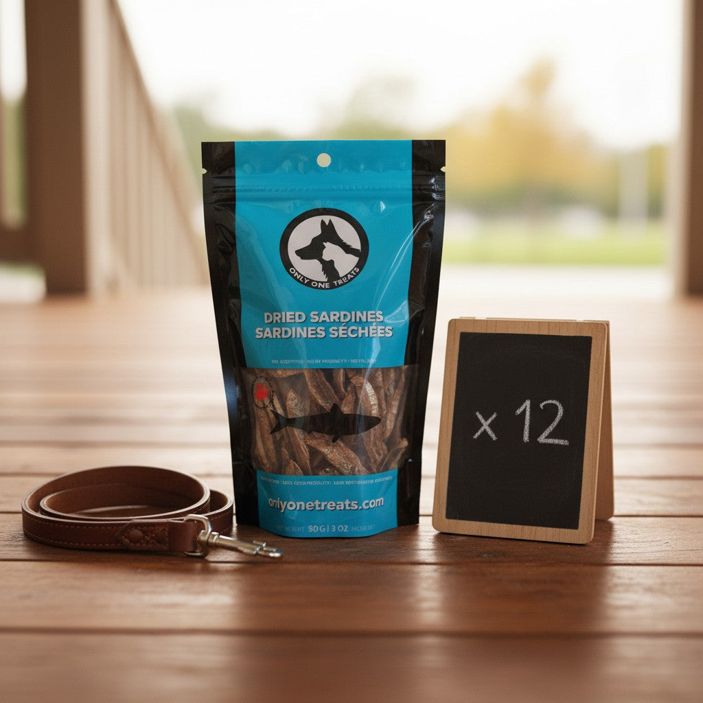 Oh Canada Gifts bulk case of 12 bags of natural dried sardine pet treats on a wooden deck with a leather leash