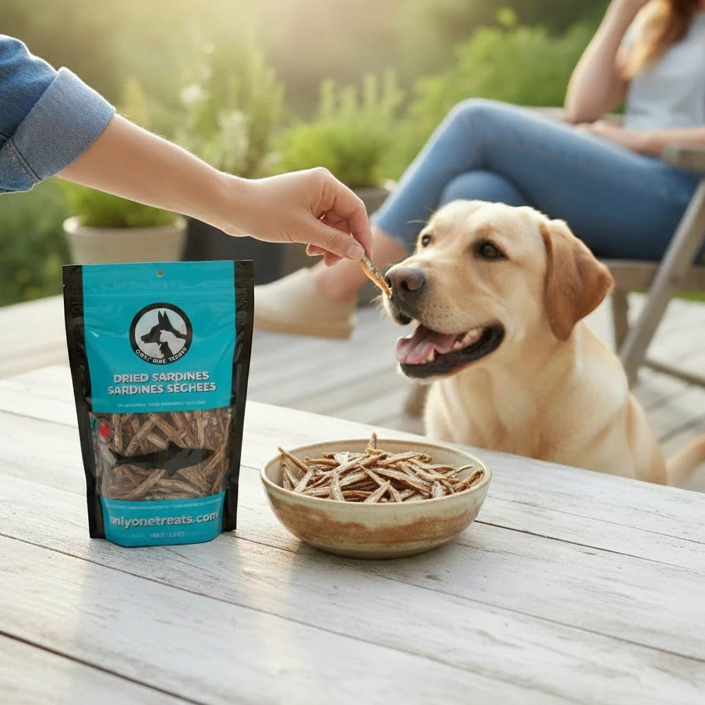 Oh Canada Gifts dried sardine pet treats being fed to a happy Labrador retriever outdoors on a wooden table