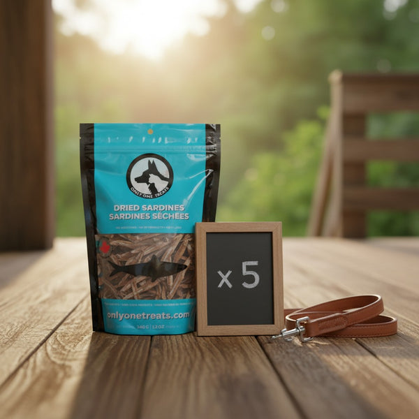 Oh Canada Gifts bulk case of five bags of Only One Treats dried sardines for dogs and cats on a wooden deck