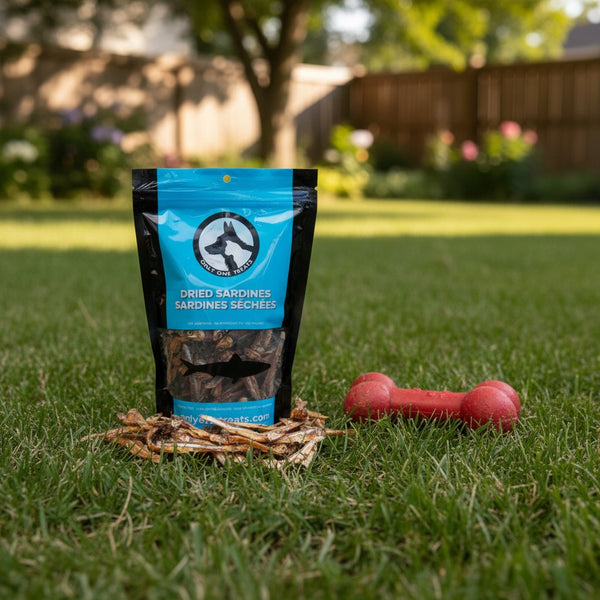 Oh Canada Gifts dried sardines for dogs and cats in a blue bag with a red toy on green grass