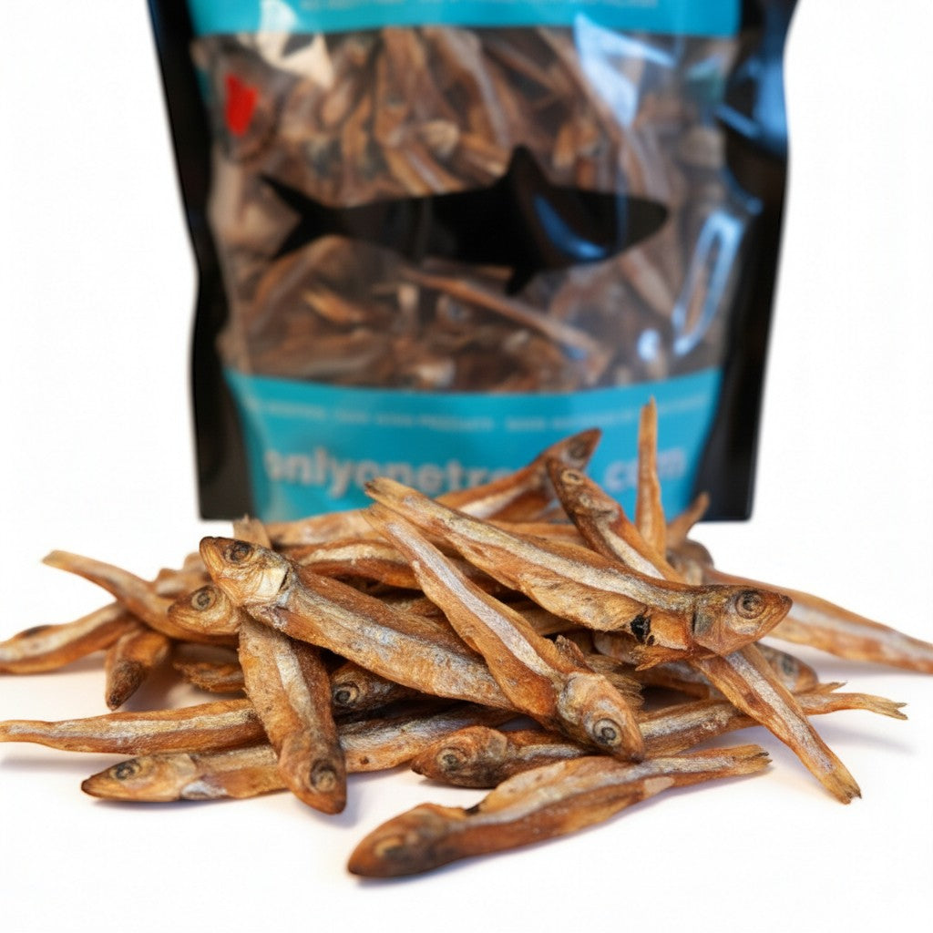 Oh Canada Gifts dried whole sardines, a natural single-ingredient Omega-3 treat for dogs and cats in a 340g bag.