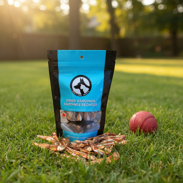 Oh Canada Gifts dried sardines for dogs and cats in a blue pouch with a red ball on green grass.