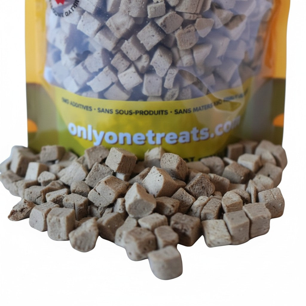 Oh Canada Gifts freeze-dried chicken treats for dogs and cats in a 310g bulk bag with small cubed pieces.
