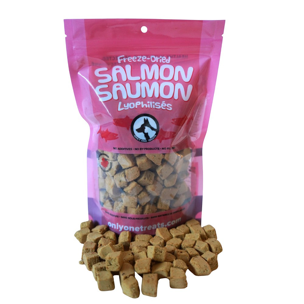 Oh Canada Gifts freeze-dried salmon treats for dogs and cats in a pink resealable bag with small cubed pieces.