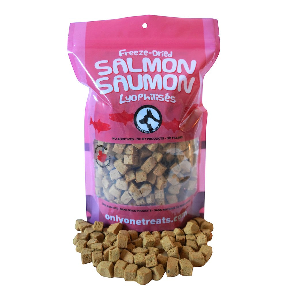 Oh Canada Gifts freeze-dried salmon pet treats in a pink 270g bulk bag with small cubed salmon pieces in front.