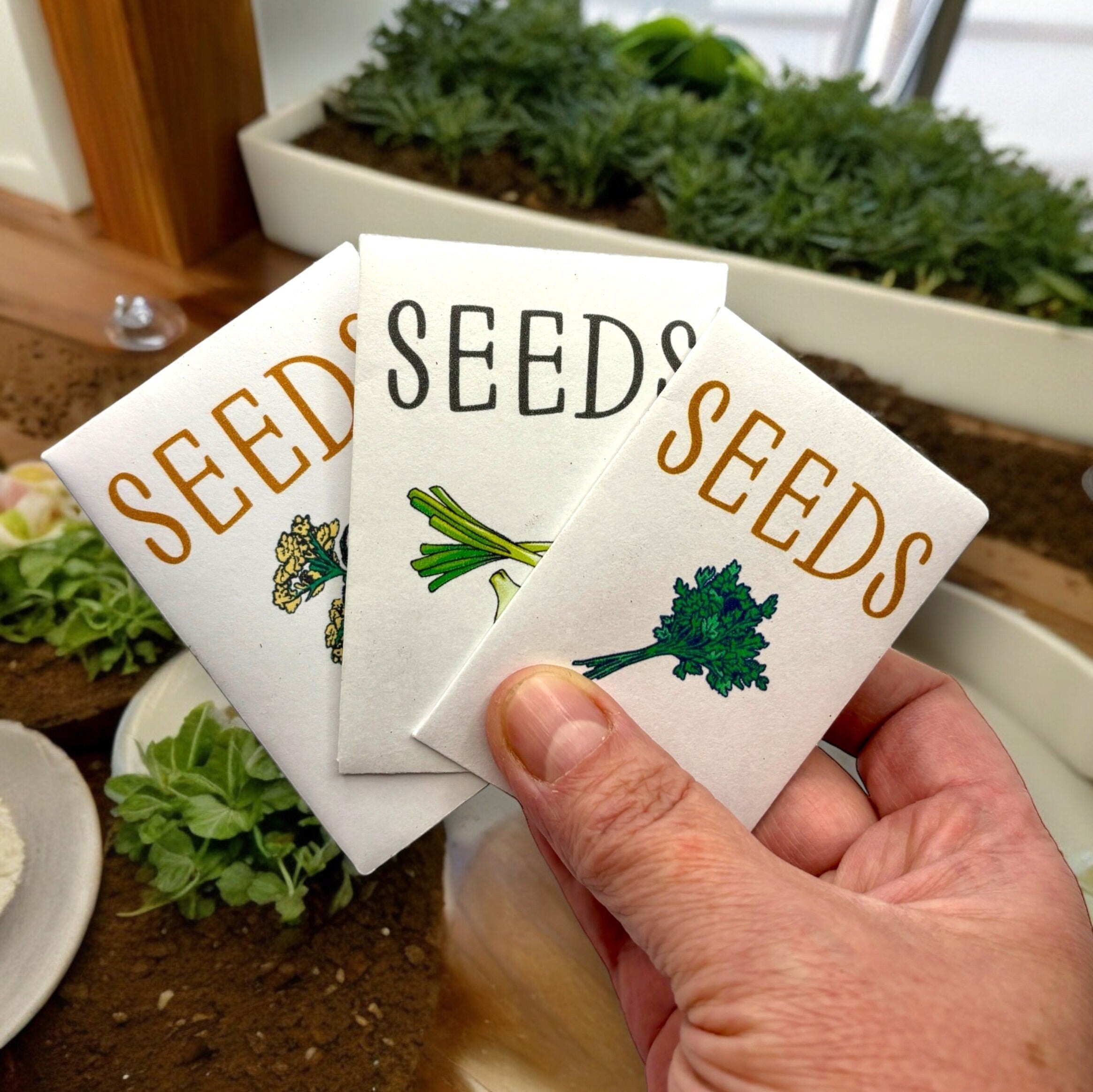 Oh Canada Gifts indoor herb garden starter kit featuring three seed packets for parsley, chives, and dill
