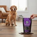 Oh Canada Gifts kangaroo jerky treat bag with a golden retriever waiting in the background on a wooden floor.