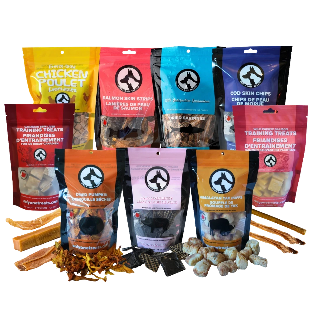 Oh Canada Gifts Mighty Big Box featuring a variety of natural Canadian pet treats and chews in colorful pouches.