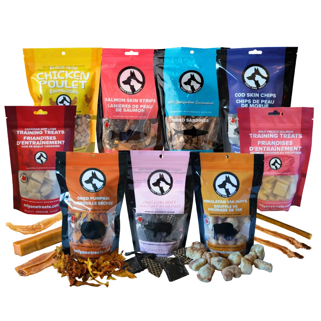 Oh Canada Gifts Mighty Big Box featuring a variety of natural Canadian pet treats and chews in colorful pouches.