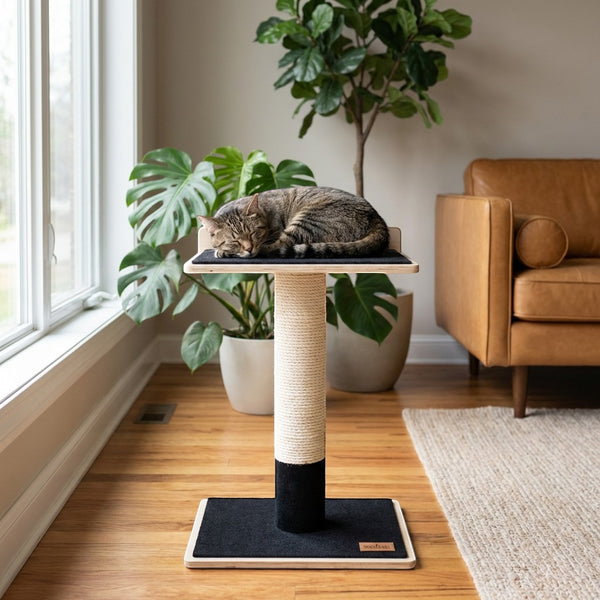 Oh Canada Gifts Noba modern plywood 1-level cat tree with a scratching post and sleeping perch in a living room