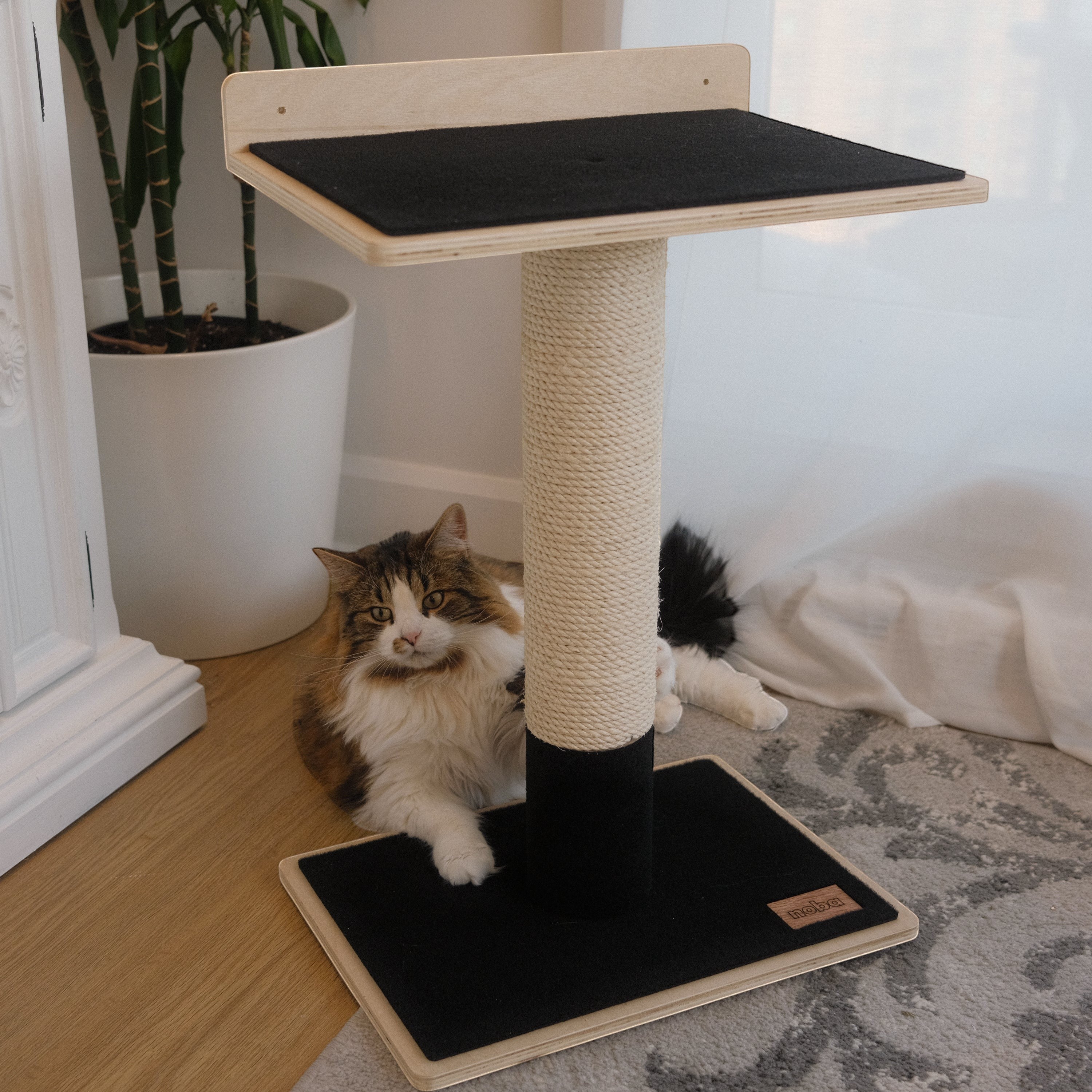 Oh Canada Gifts Noba modern plywood 1-level cat tree with black carpeted platforms and a sisal scratching post