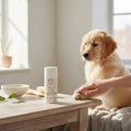 Oh Canada Gifts Pawsies Lotion Bar in a push-up tube next to a golden retriever puppy on a wooden table