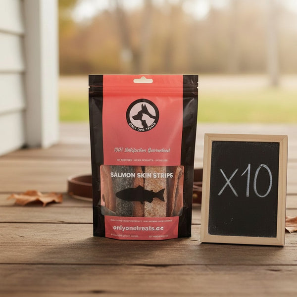 Oh Canada Gifts salmon skin strips dog treats in a bulk pack of ten bags on a wooden porch