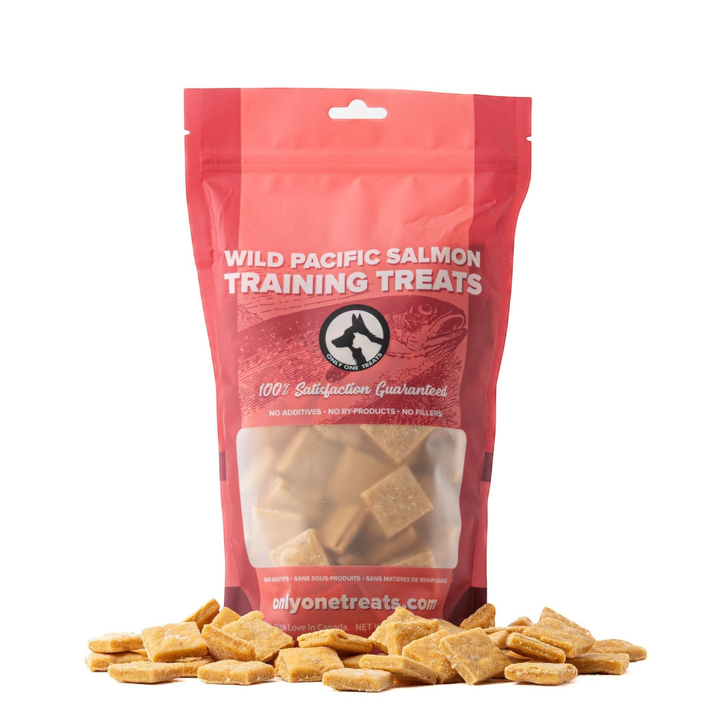 Oh Canada Gifts Wild Pacific Salmon soft training treats in a red resealable bag with square biscuits in front.