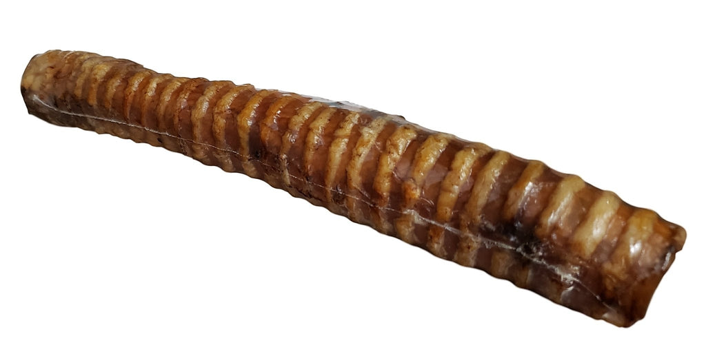 Oh Canada Gifts 8-9 inch natural smoked veal trachea dog chew with a ridged texture for dental health