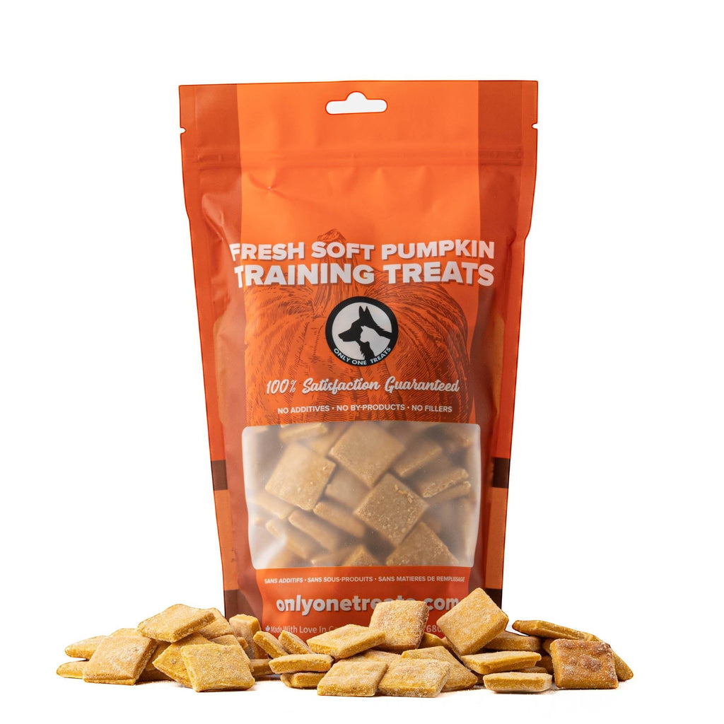 Oh Canada Gifts soft pumpkin dog training treats in a 680g orange bag with bite-sized square snacks in front.