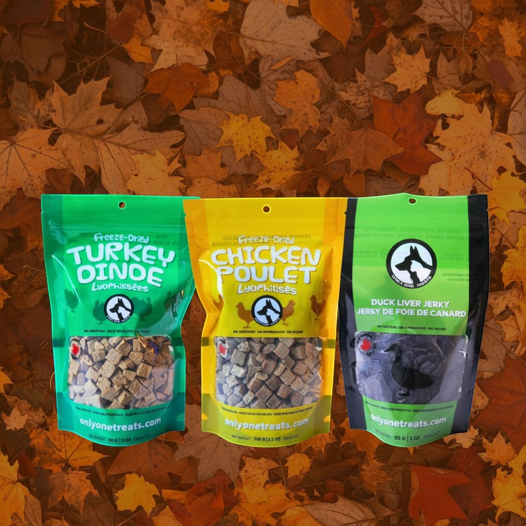 Oh Canada Gifts TurDucken Holiday Box featuring freeze-dried turkey, chicken, and duck liver treats on autumn leaves.