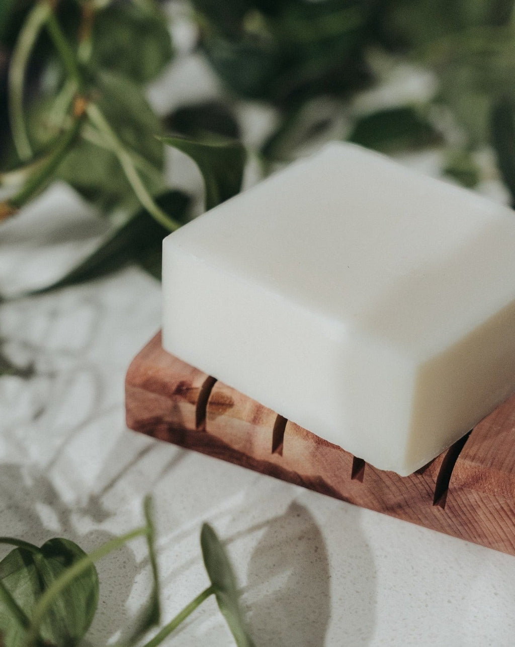 Oh Canada Gifts unscented solid dish soap bar on a wooden tray with green leaves in the background.