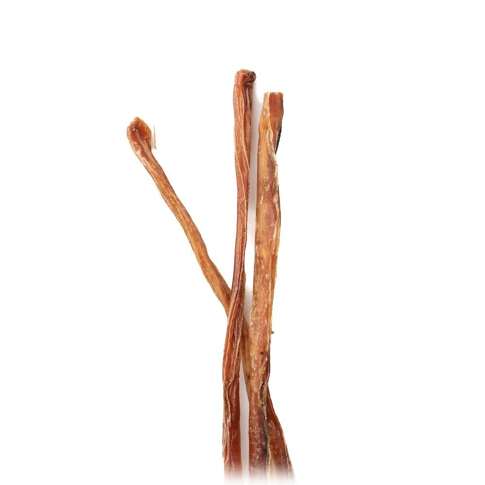 Oh Canada Gifts 9-inch natural air-dried veal pizzle stick dog chew for dental health